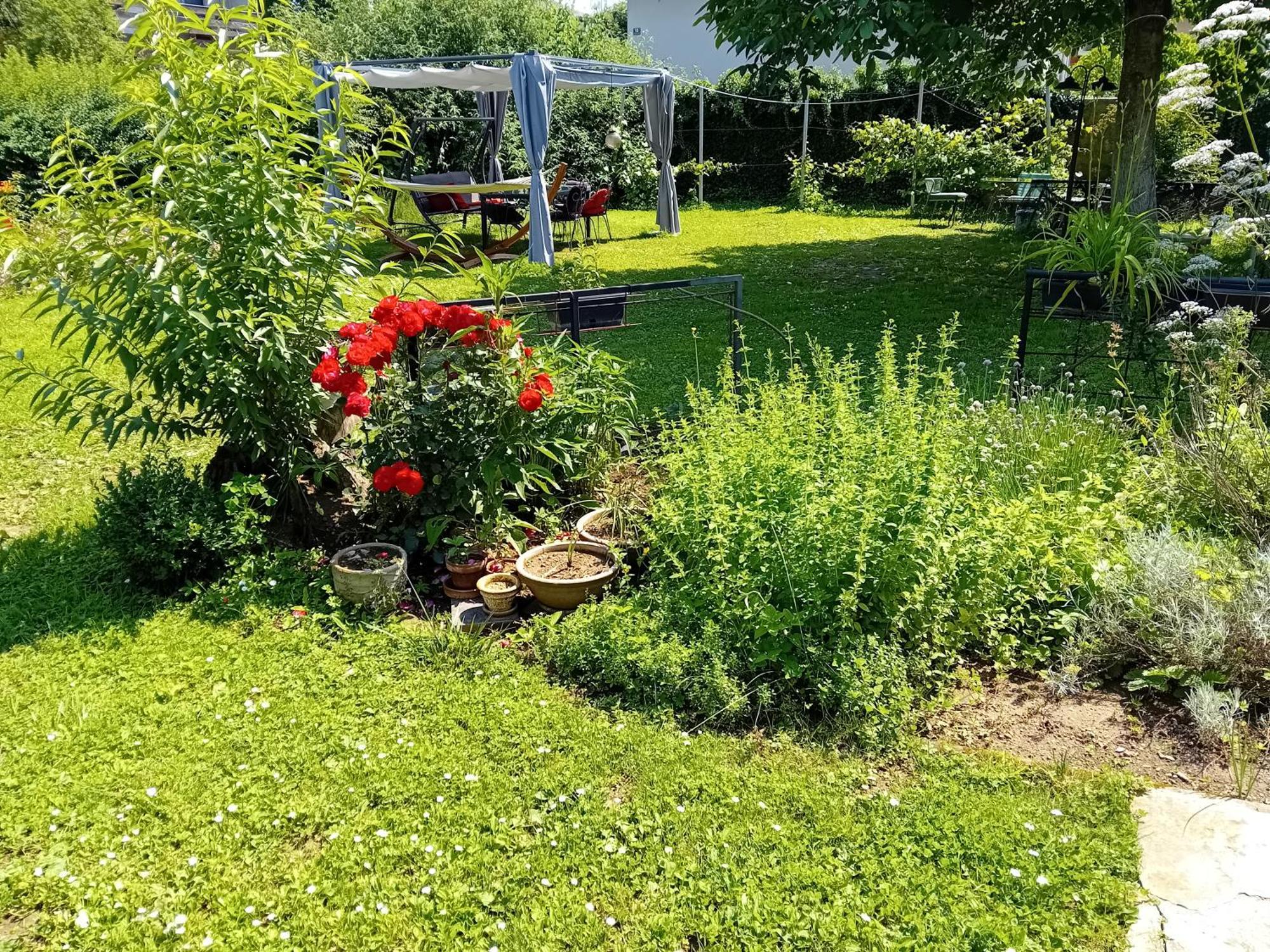 Apartment Baci For 4 Guests Любляна Екстериор снимка